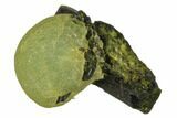 Botryoidal Prehnite On Epidote - Mali #137516-1